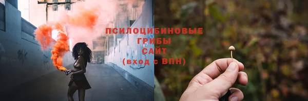 кокс Кедровый