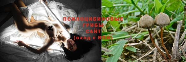 скорость Гусь-Хрустальный