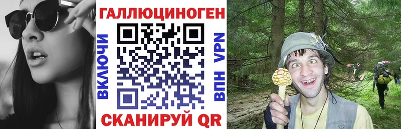 сайты даркнета какой сайт Оха Псилоцибиновые грибы мухоморы