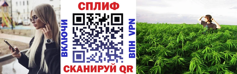 Бошки марихуана MAZAR  Оха 